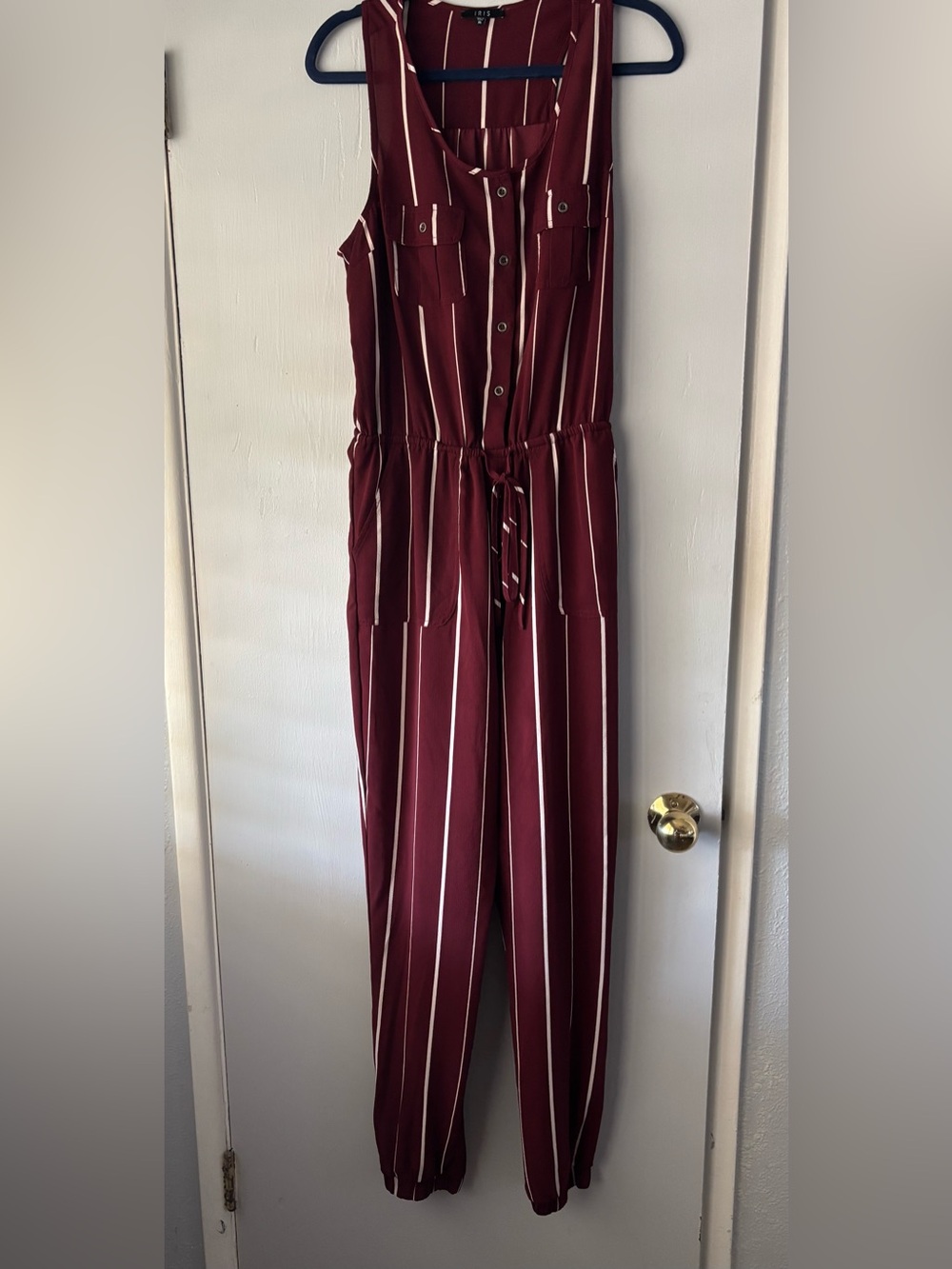 iris Burgundy and White Striped Sleeveless Jumpsuit